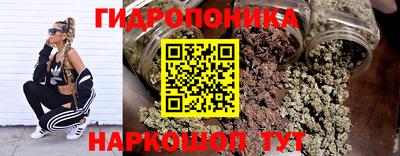 тгк Можга