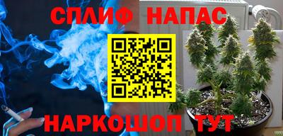 тгк Можга