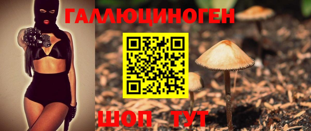 Псилоцибиновые грибы мицелий Юрга