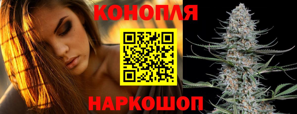 Бошки марихуана планчик  Вход с VPN  Шишки марихуана LSD WEED  Каннабис ГИДРОПОН  Бошки Шишки Bruce Banner  Юрга 